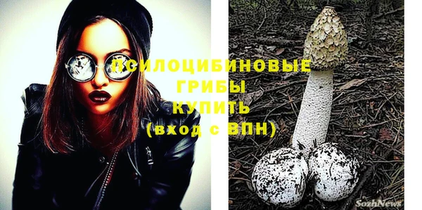 MDMA Богородицк