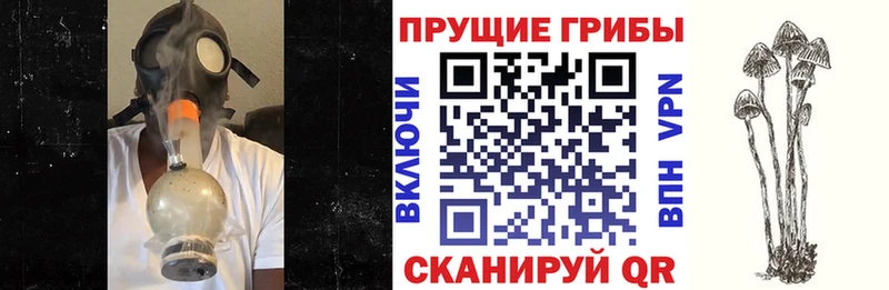 Псилоцибиновые грибы мухоморы  Купить закладки  Нижний Тагил 